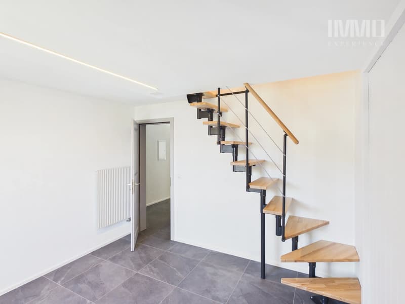 Magnifique Appartement de 3,5 pièces entièrement rénové (10)