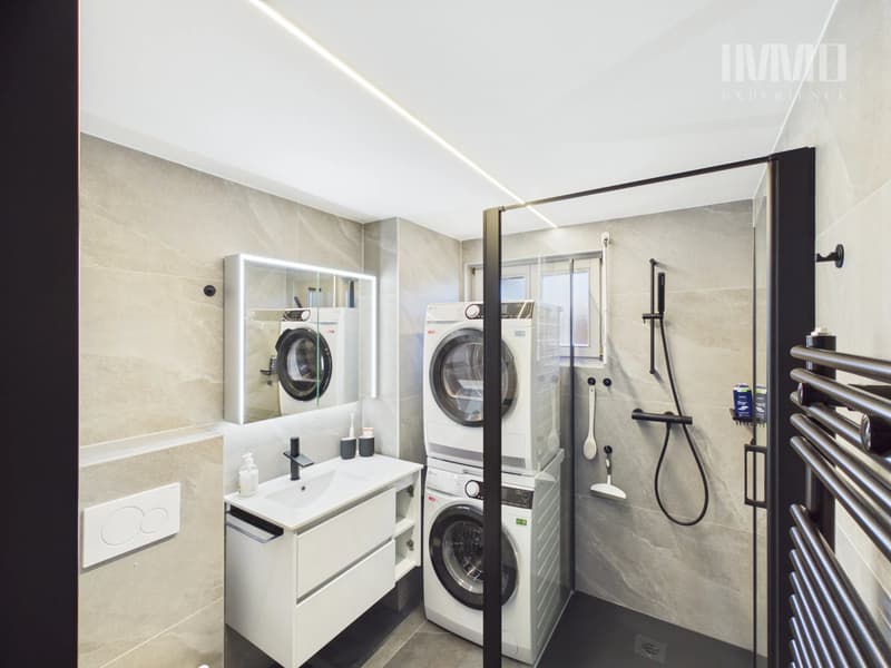 Magnifique Appartement de 3,5 pièces entièrement rénové (6)