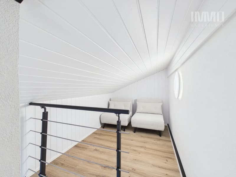 Magnifique Appartement de 3,5 pièces entièrement rénové (12)