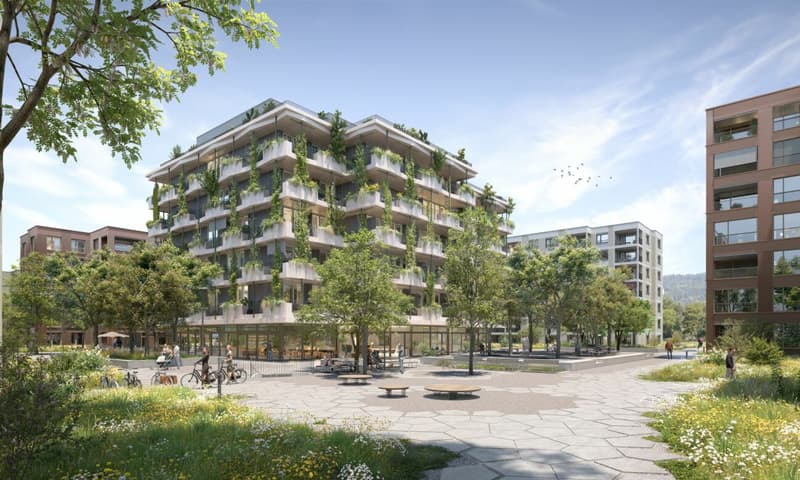 3.5-Zimmer-Neubauwohnung in ruhigem Wohnquartier (5)