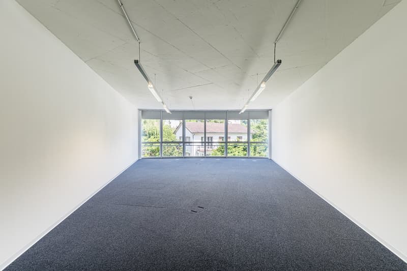 white walls, gray floor, large windows overlooking trees, two ceiling lamps