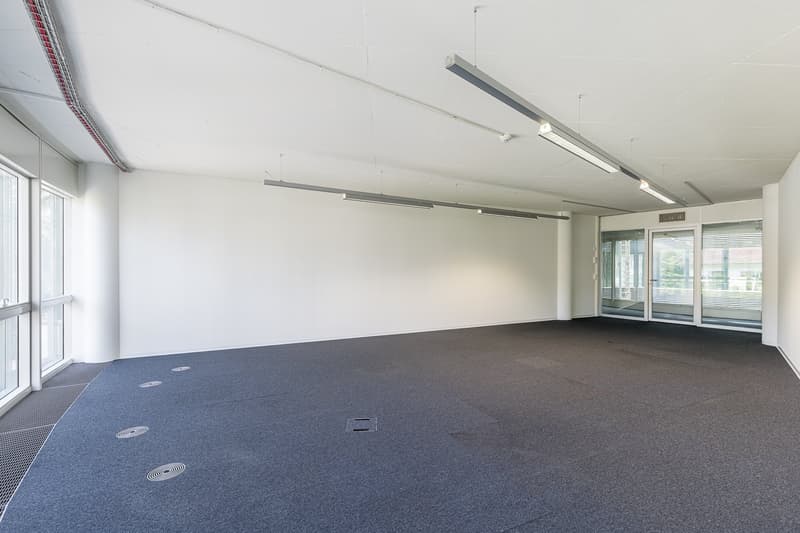 Empty room with white walls, gray floor, windows with blinds, ceiling lights, floor hatch, door.