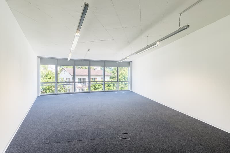 empty room, white walls, glass windows, gray carpet