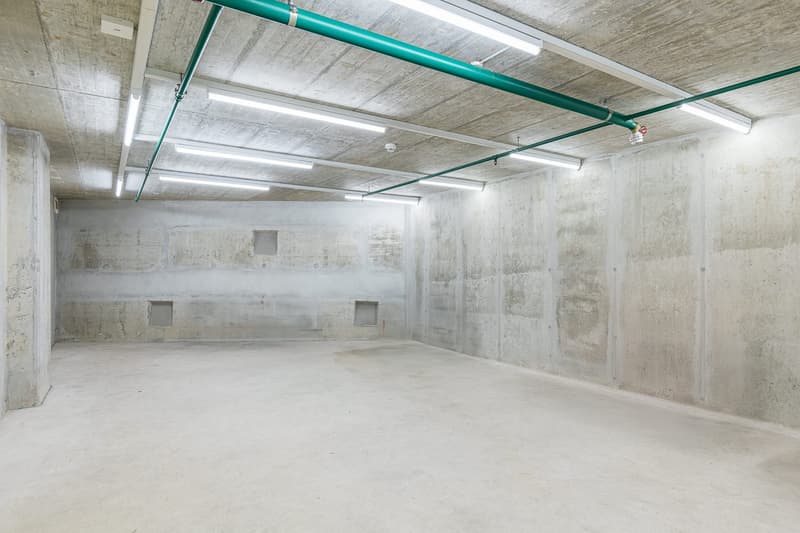 Storage room next to Brugg train station (2)