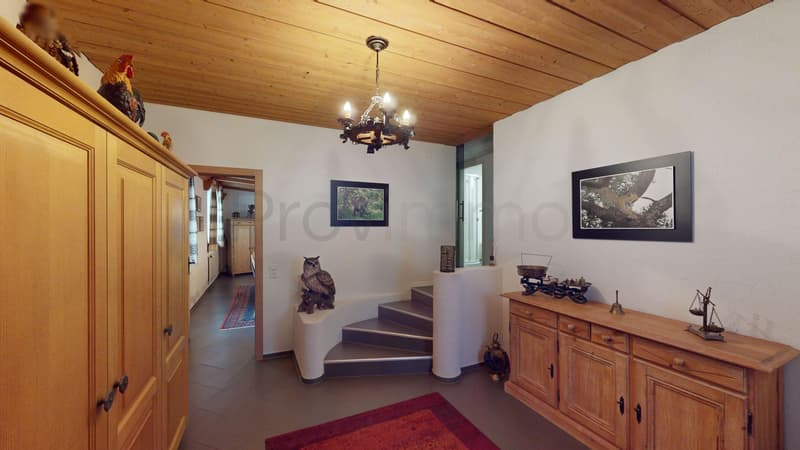 Sogno di vita con futuro – 1'027 m² pieni di possibilità (22)