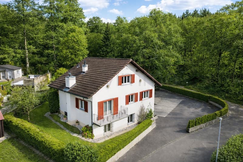 Sogno di vita con futuro – 1'027 m² pieni di possibilità (2)