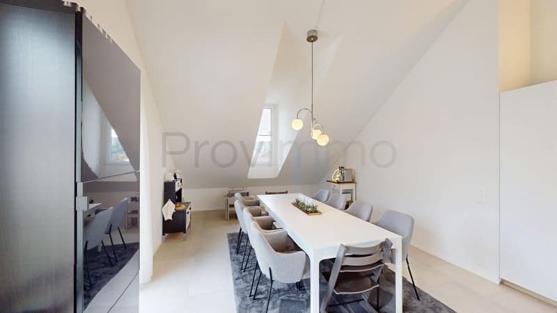 4.5-room attic apartment in Niedergösgen SO (11)