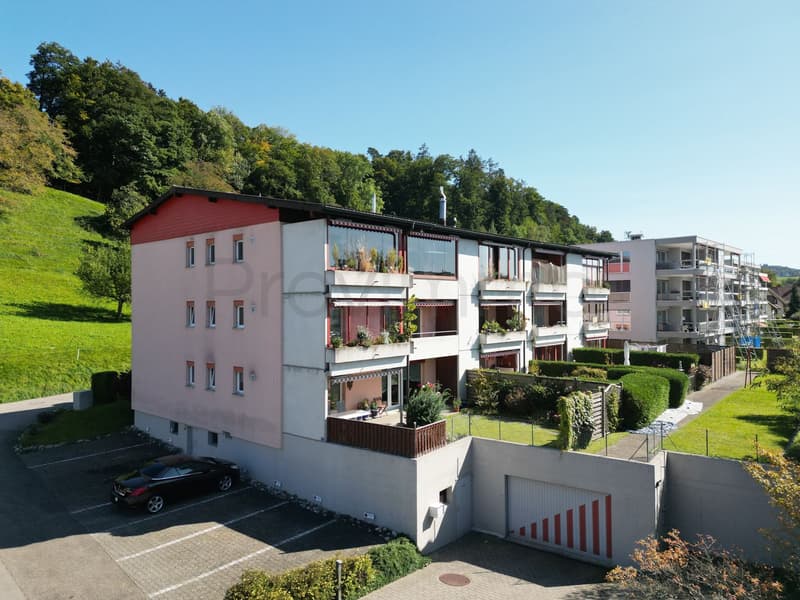 4.5-Room Apartment in Muhen AG (3)