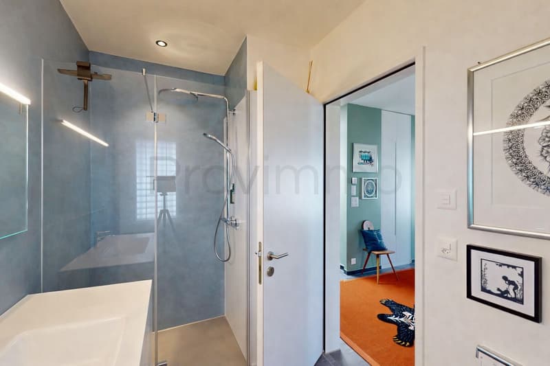 Renovated apartment in the heart of Aarau (17)