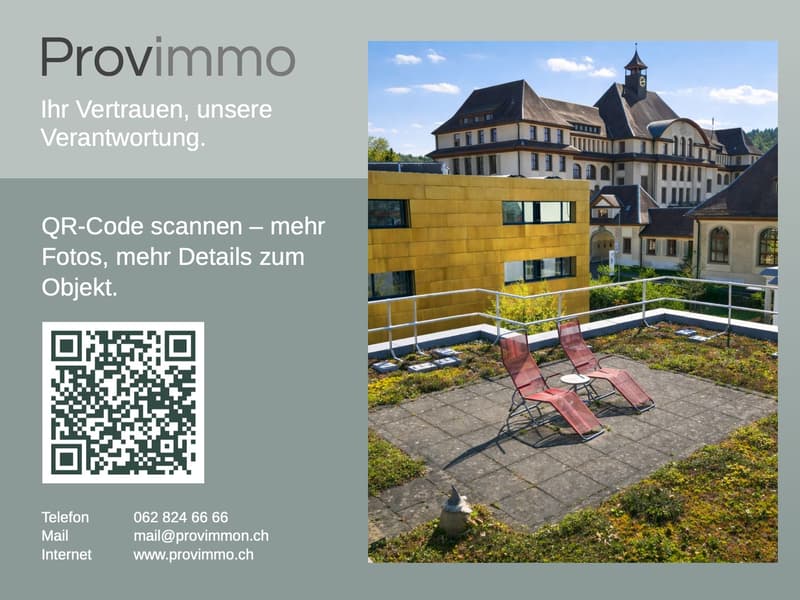 Renovated apartment in the heart of Aarau (13)