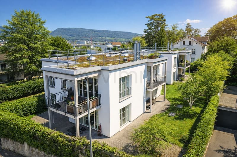 Renovated apartment in the heart of Aarau (1)