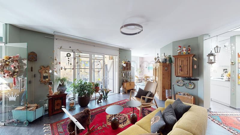 Renovated apartment in the heart of Aarau (7)