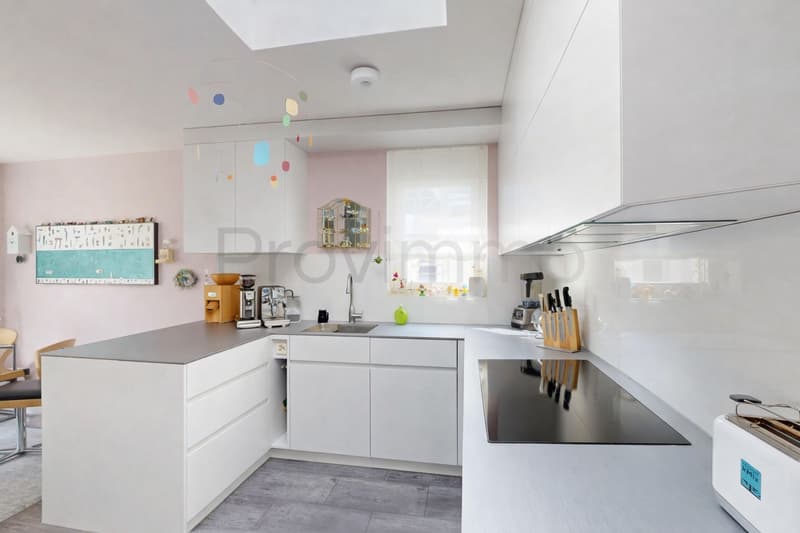 Renovated apartment in the heart of Aarau (12)