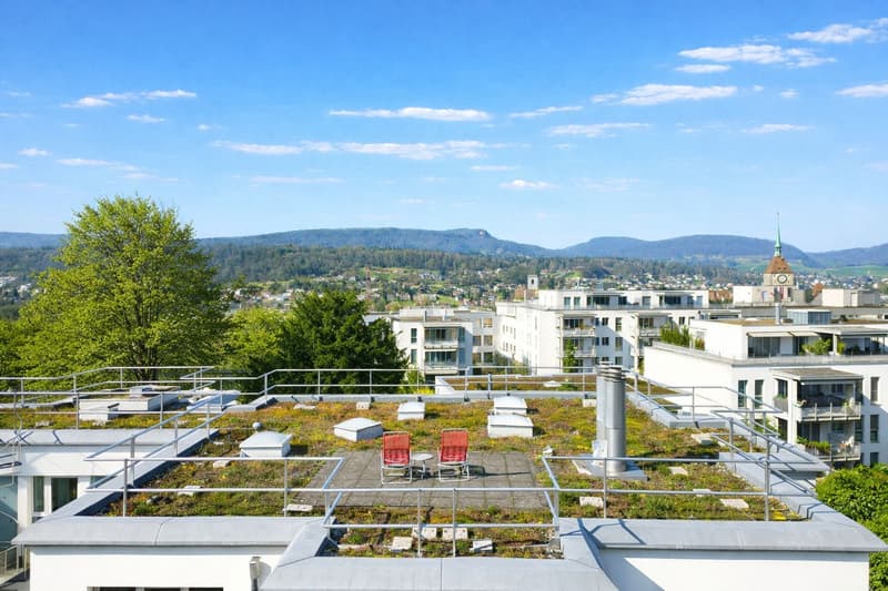 Renovated apartment in the heart of Aarau (6)
