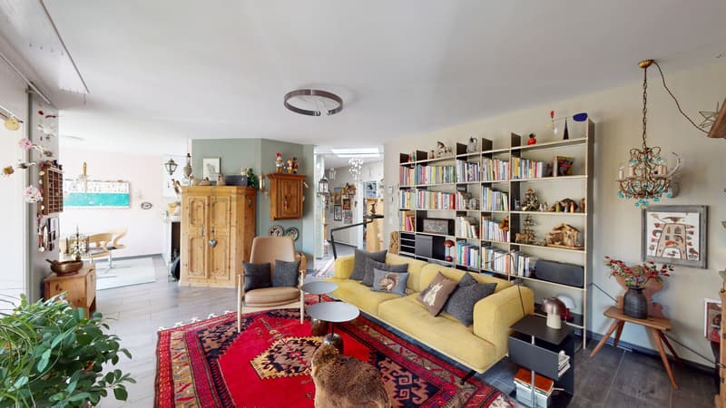 Renovated apartment in the heart of Aarau (9)