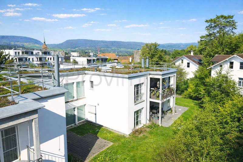 Renovated apartment in the heart of Aarau (3)