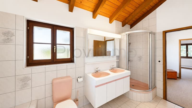 Peace, space, privacy – charming single-family home in the countryside (25)