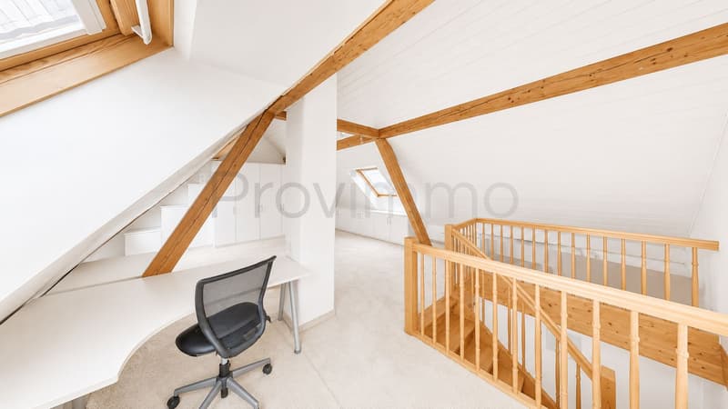 Incanto dell'edificio antico incontra il comfort della vita moderna (23)