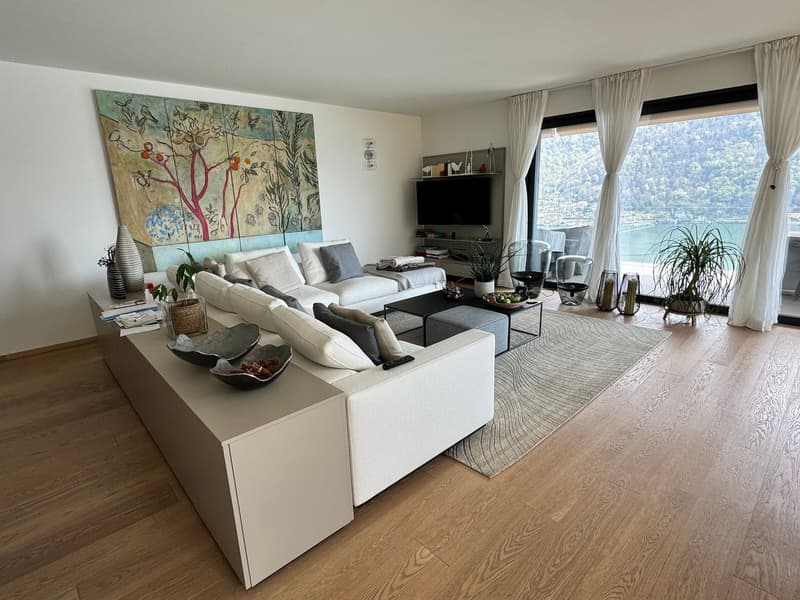 Schönes 3,5-Zimmer-Apartment mit Seeblick, Garten und Pool (11)