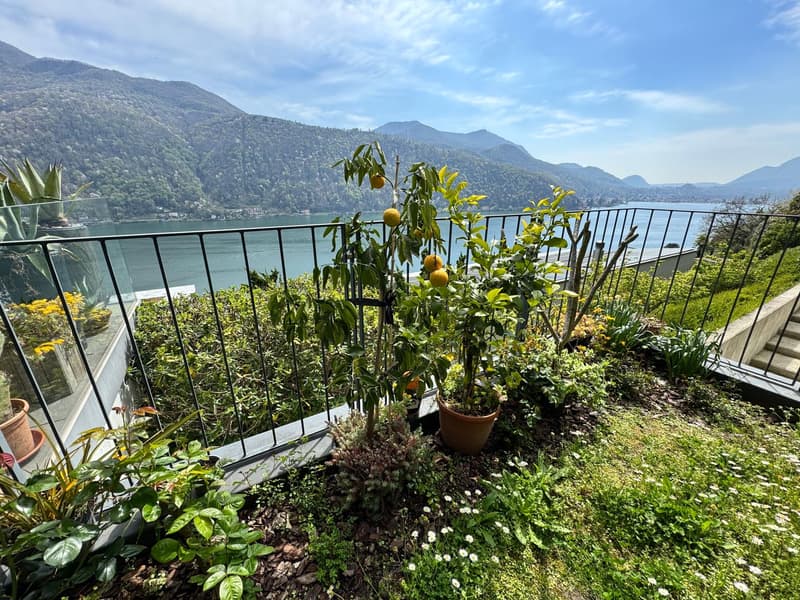 Schönes 3,5-Zimmer-Apartment mit Seeblick, Garten und Pool (19)