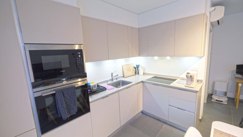 Appartamento 2,5 locali con grande terrazza (11)