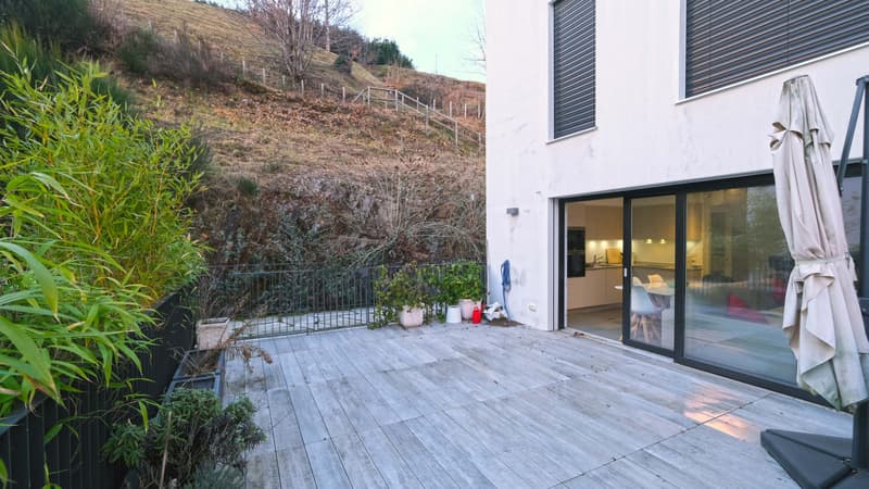 Appartamento 2,5 locali con grande terrazza (4)