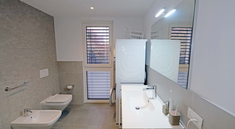 Appartamento 2,5 locali con grande terrazza (16)