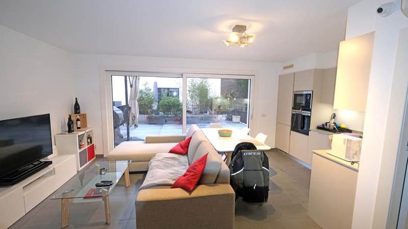Appartamento 2,5 locali con grande terrazza (13)