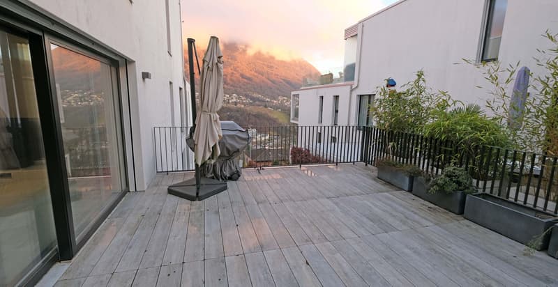 Appartamento 2,5 locali con grande terrazza (3)