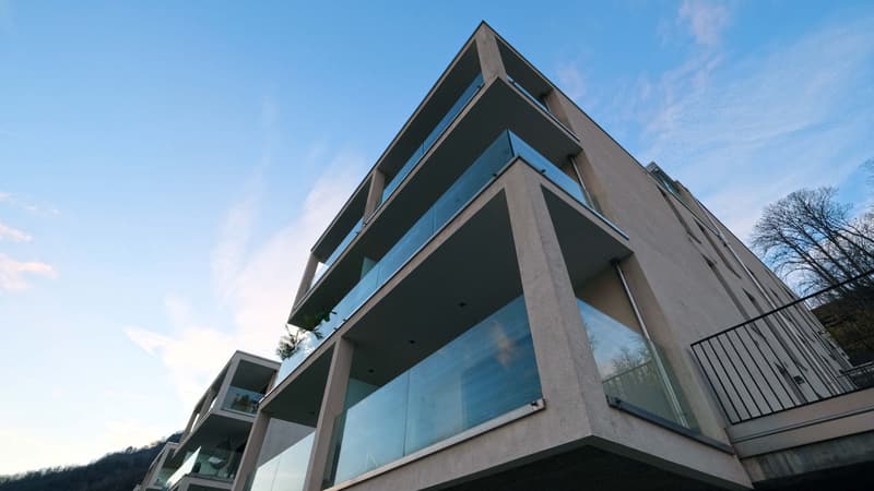 Appartamento 2,5 locali con grande terrazza (2)