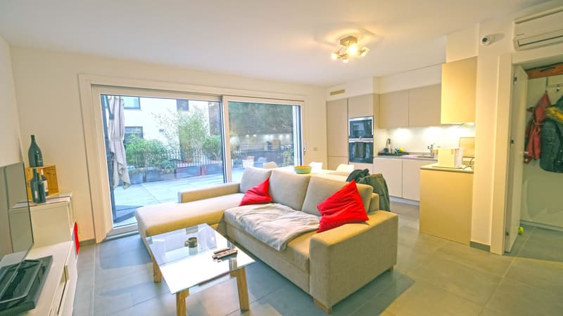 Appartamento 2,5 locali con grande terrazza (10)