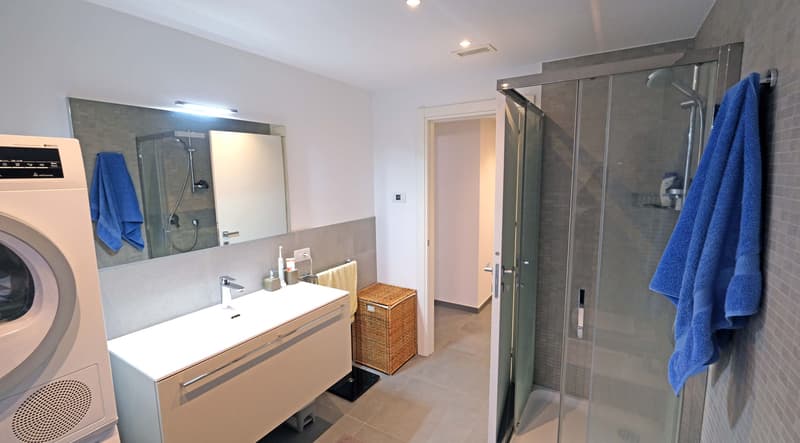 2.5-room apartment with large terrace (17)
