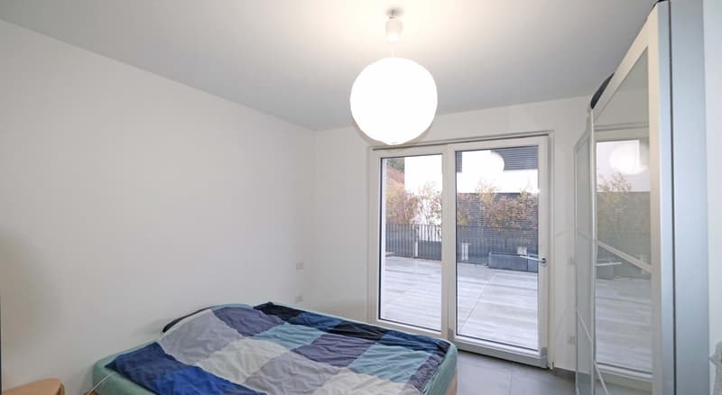 Appartamento 2,5 locali con grande terrazza (15)