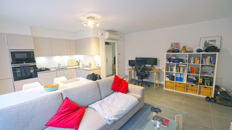 Appartamento 2,5 locali con grande terrazza (12)