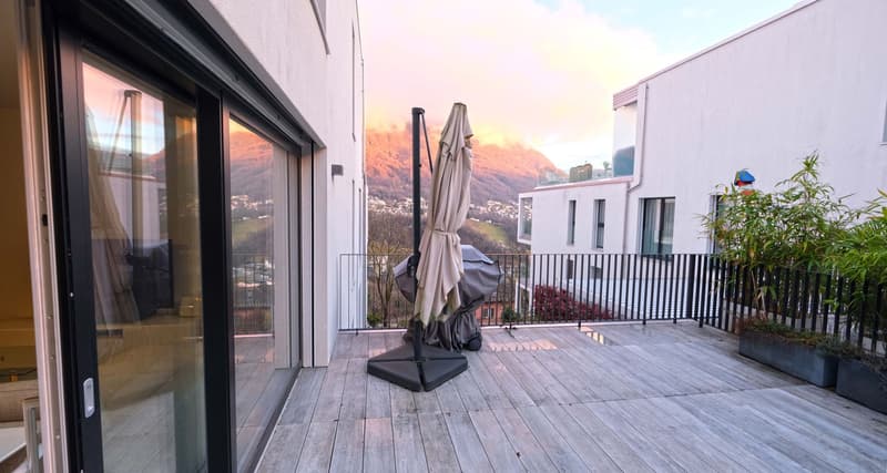 2.5-room apartment with large terrace (7)