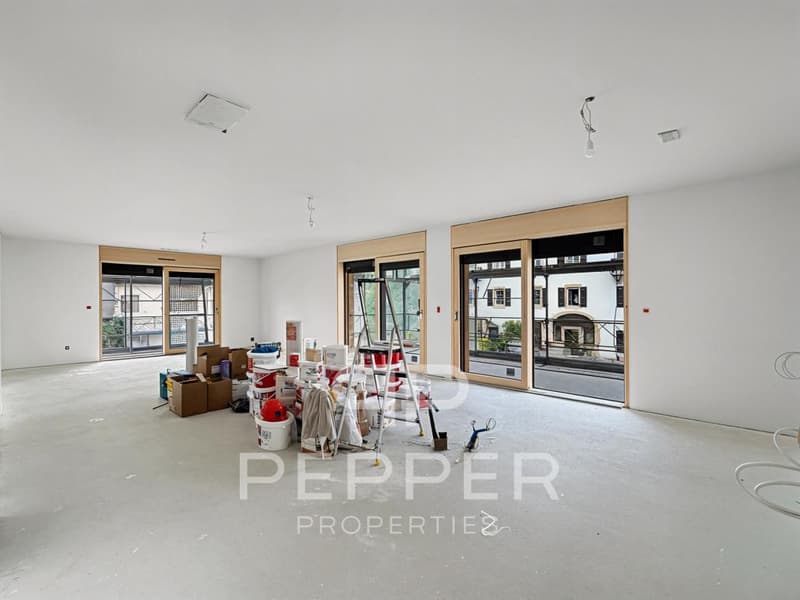 Last available plot - Bright new apartment in the heart of St-Cergue (2)