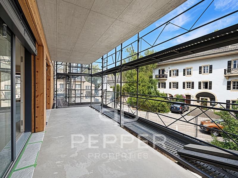 Last available plot - Bright new apartment in the heart of St-Cergue (3)