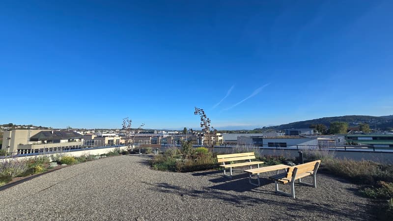 Dachterrasse für alle Bewohner nutzbar