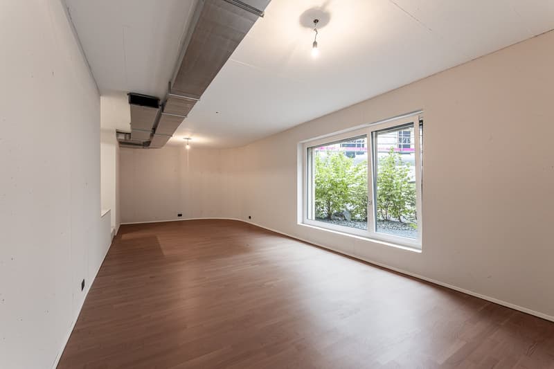 Modern commercial space in Brunnen - Versatile use (6)
