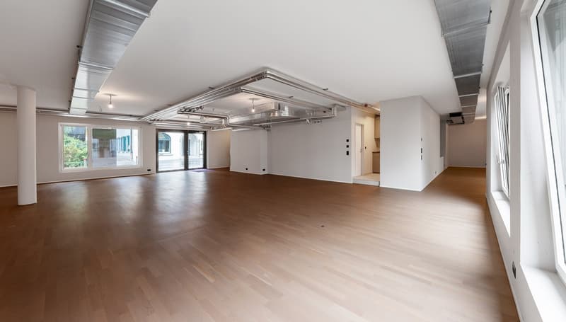 Modern commercial space in Brunnen - Versatile use (4)