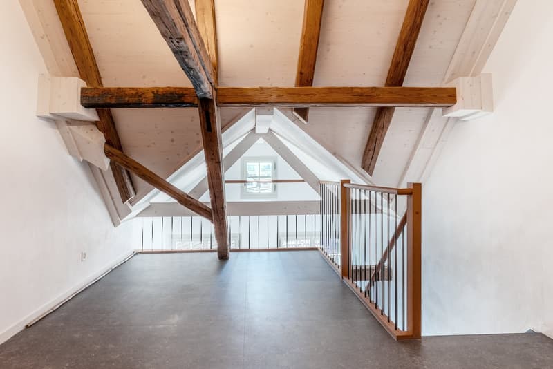 Object with history, renovated farmhouse part with 5 rooms and garden (17)