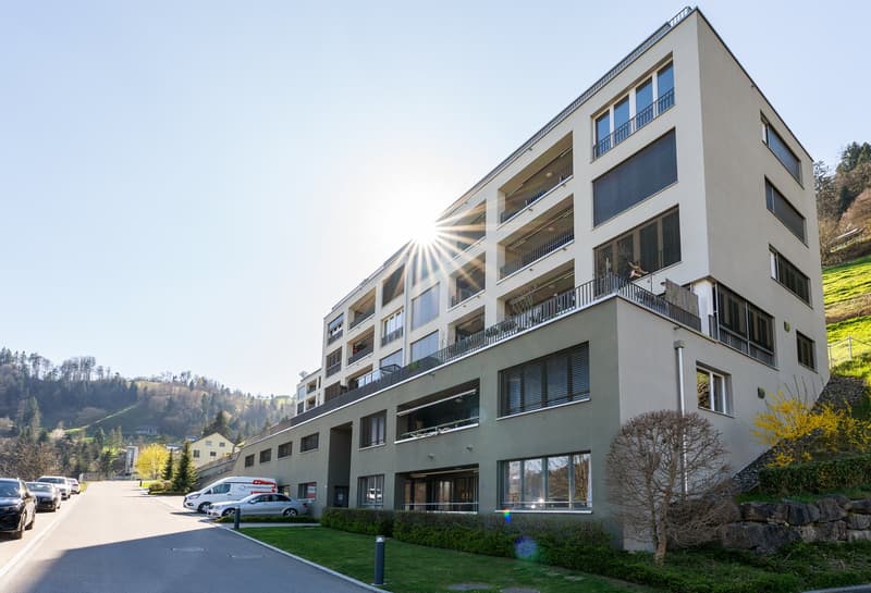Ruhig und schön gelegene 4.5-Zimmer-Wohnung mit Weitsicht (15)