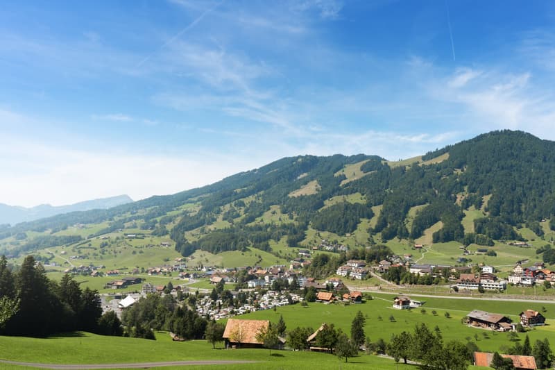 Exklusive 5.5-Zimmer-Terrassenwohnung mit Bergblick in Sattel (16)