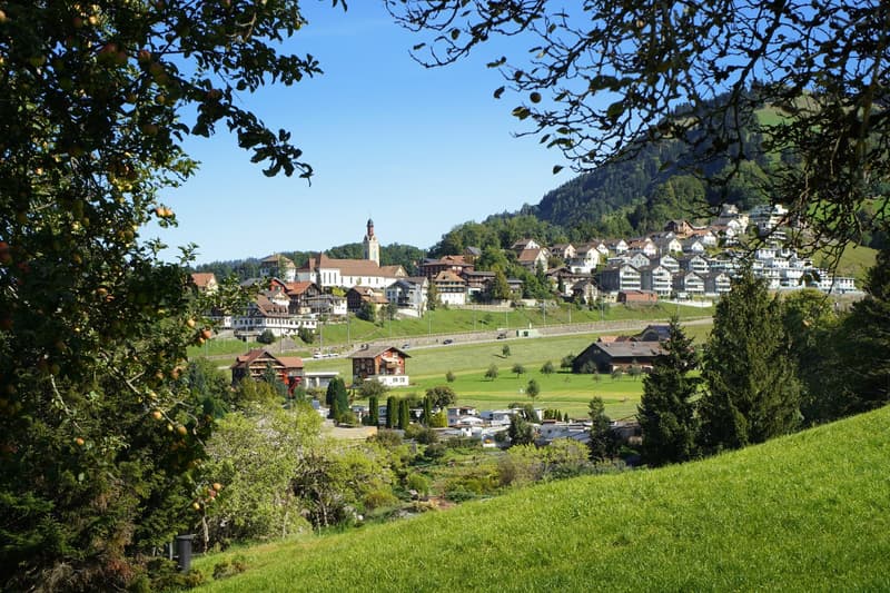 Exklusive Terrassenwohnung mit Dachterrasse und Weitblick (13)