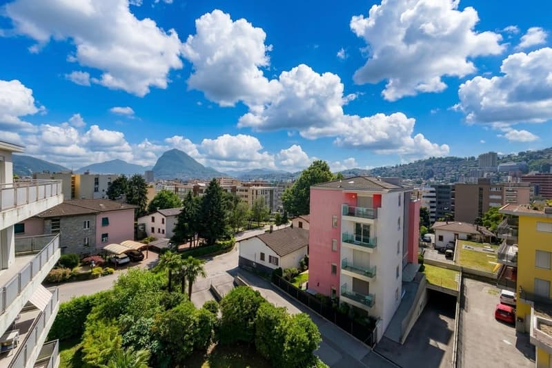 Ampio e luminoso 3.5 locali con terrazza e vista aperta (11)