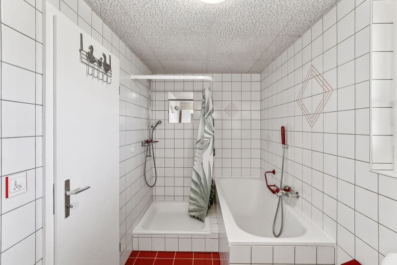 Geräumiges 5-Zimmer-Duplex mit eigenem Garten (11)