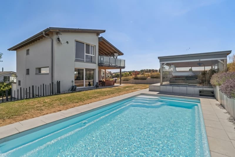 Elégante villa individuelle de 6.5 pièces avec piscine et jacuzzi (1)
