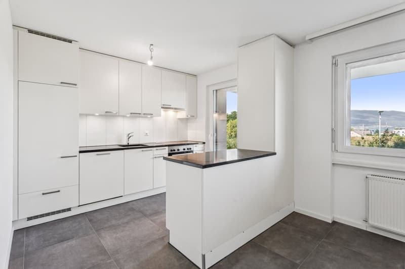 Estavayer-le-Lac - 4.5 rooms renovated with terrace and lake view (3)