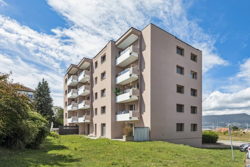 Estavayer-le-Lac - 4.5 rooms renovated with terrace and lake view (12)