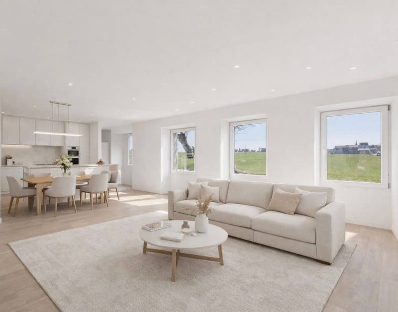 Opportunité: 2 villas jumelées + grange, aux portes d'Estavayer (10)